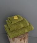 Πετσέτα Προσώπου Towels Collection 50x100 OMBRA GRASS